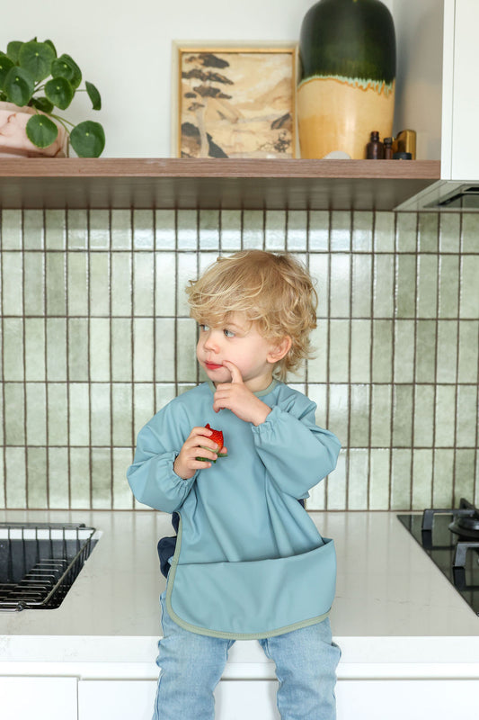 Blueberry Ice | Smock Bib