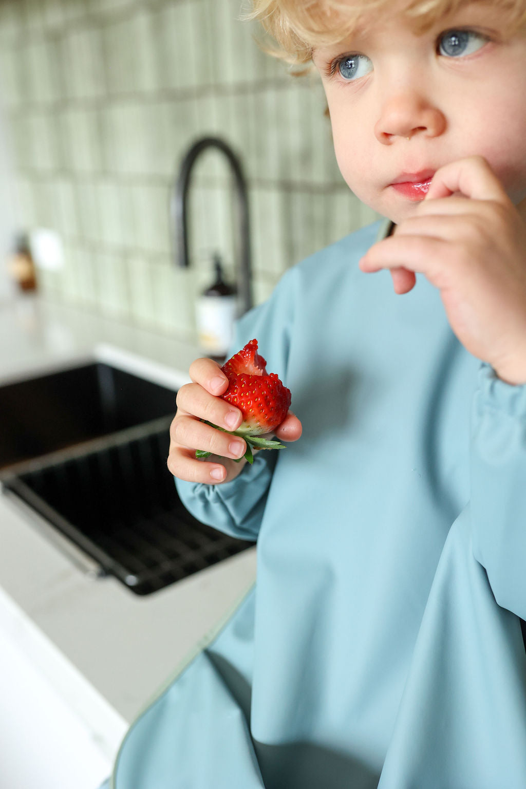Blueberry Ice | Smock Bib